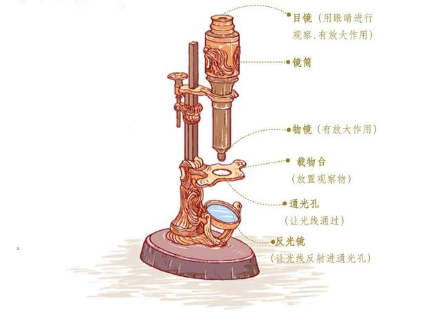 Ԫ?xn)ȳӲ˿ƌW(xu)ߴP(pn)c(din)ƌW(xu)(li)